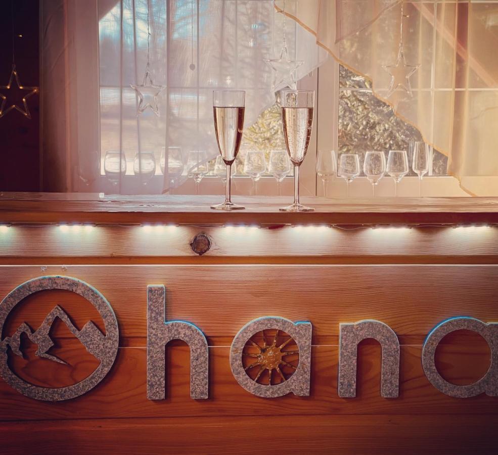 Ohana Boutique Hotel Vistea de Sus Екстер'єр фото