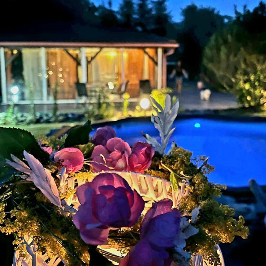 Ohana Boutique Hotel Vistea de Sus Екстер'єр фото