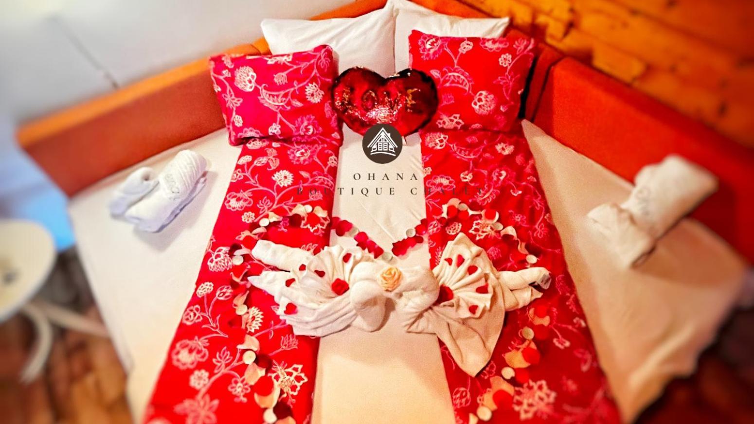 Ohana Boutique Hotel Vistea de Sus Екстер'єр фото