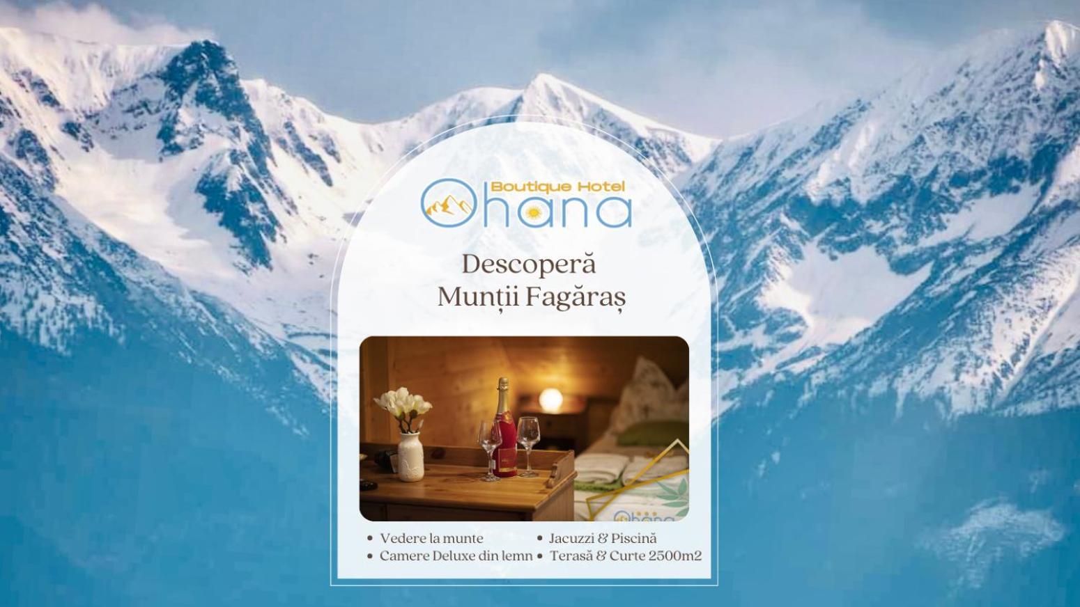 Ohana Boutique Hotel Vistea de Sus Екстер'єр фото